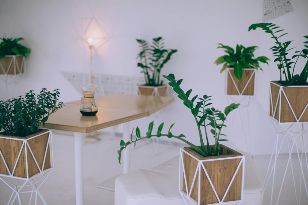 Contemporary lounge with stylish potted plants, wooden accents, and minimalistic design for a cozy indoor setting.