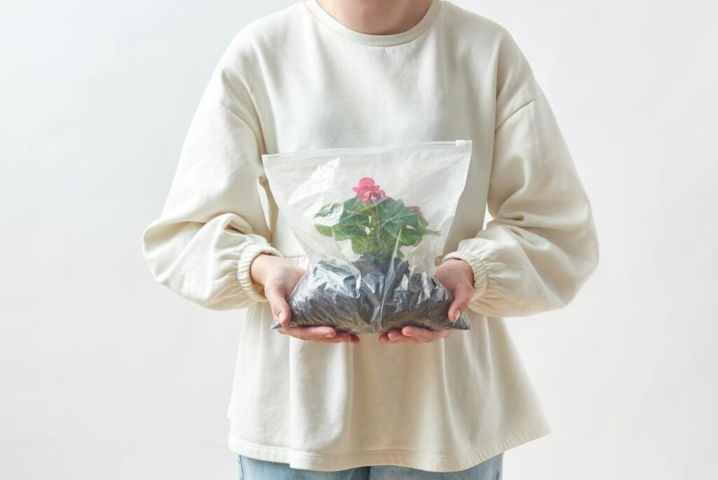 Close-up of a person holding a potted plant in a plastic bag against a neutral background.