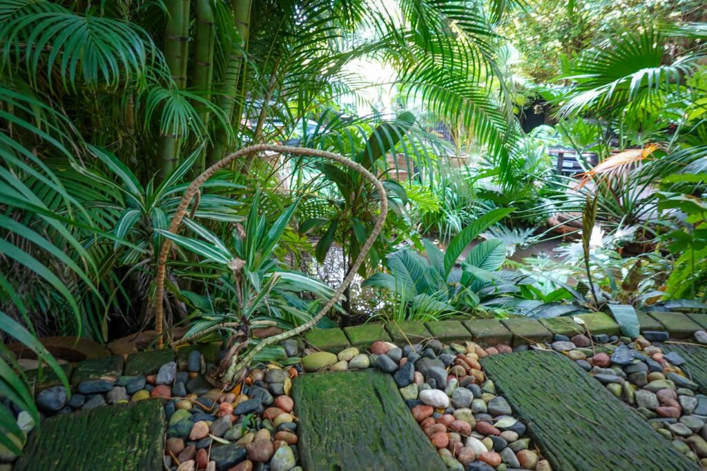 Serene garden path with vibrant tropical plants and stones near a pond.