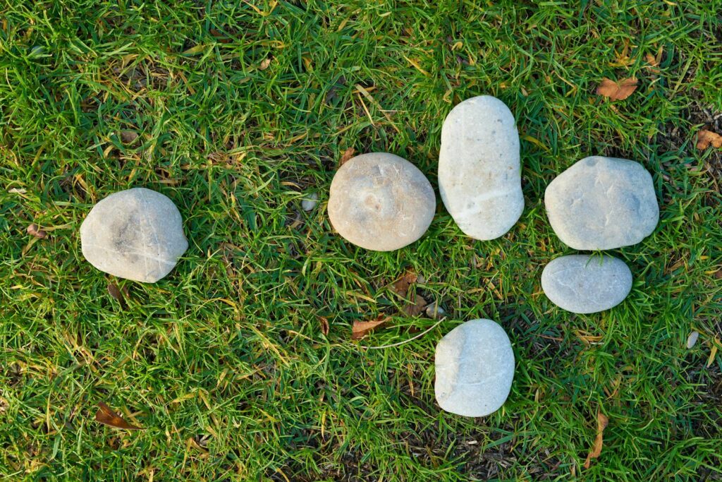 Smooth stones arranged on vibrant green grass, showcasing natural textures and colors.