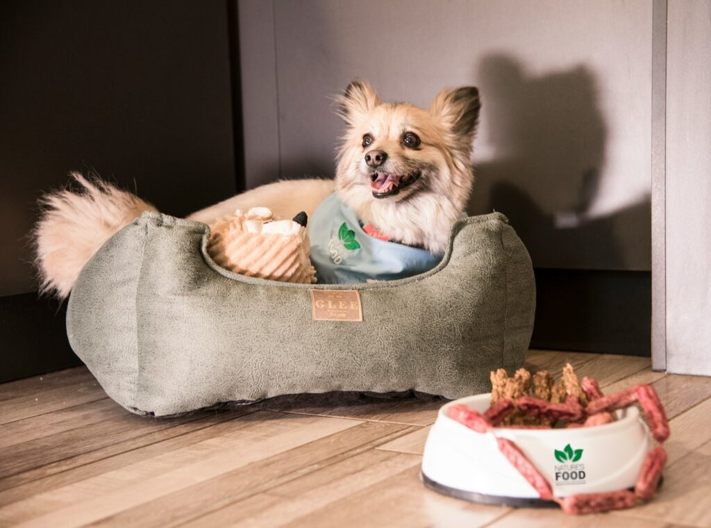 A small dog sitting in a dog bed next to a bowl of food