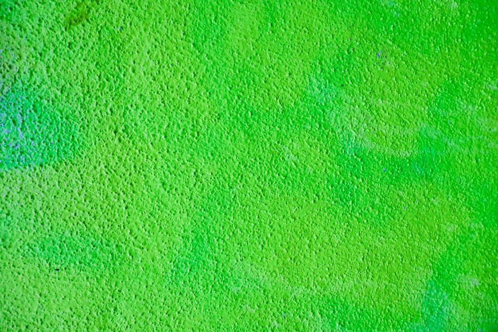 Green textile in close up photography