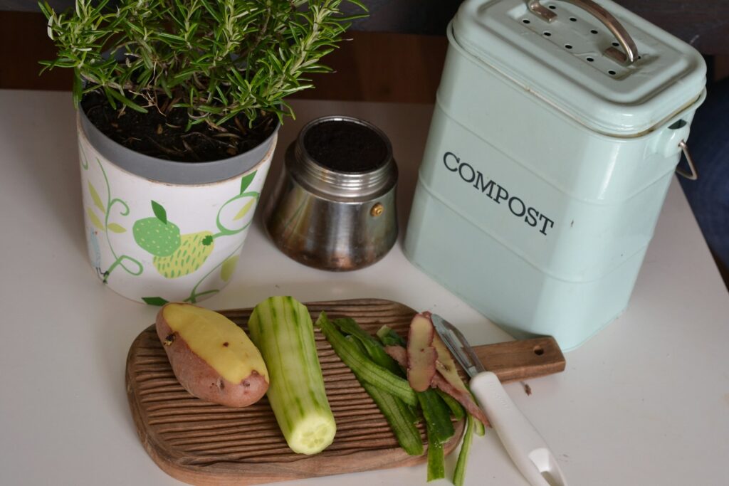 Green plant on white and purple floral ceramic pot