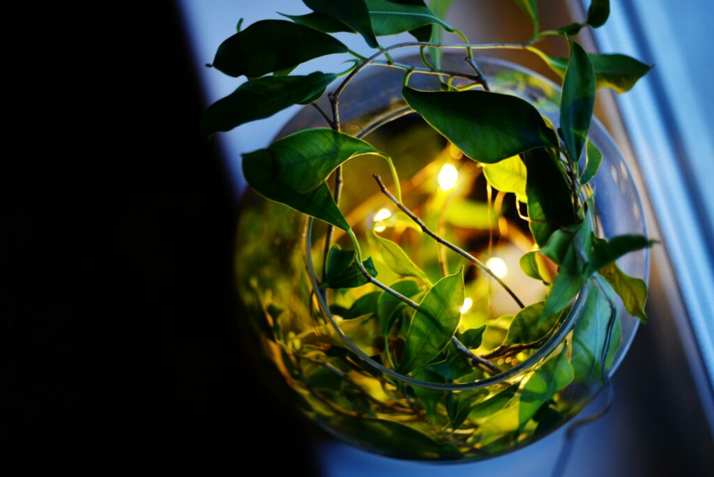 A glass vase with a plant inside of it