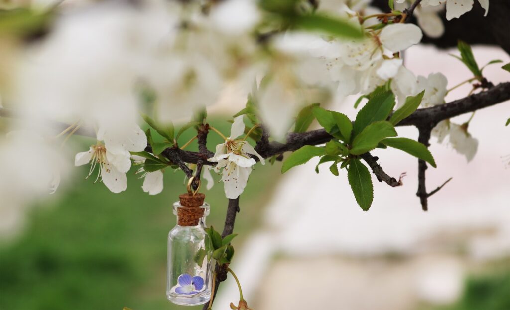 Selective focus photography of glass vial on twig