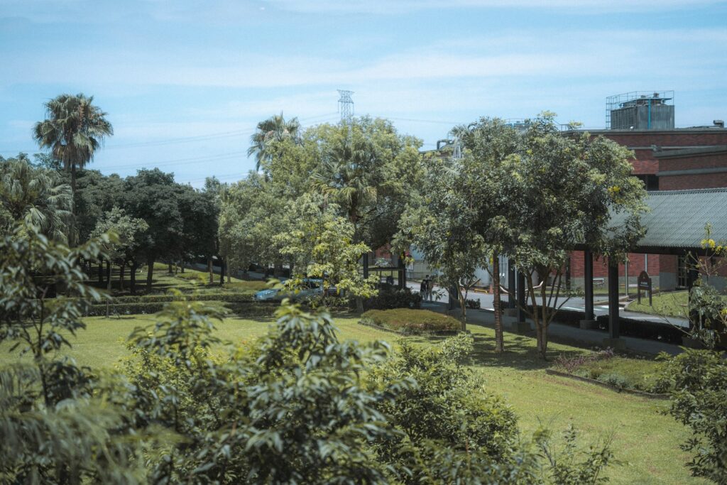 A view of a park with trees and a building in the background