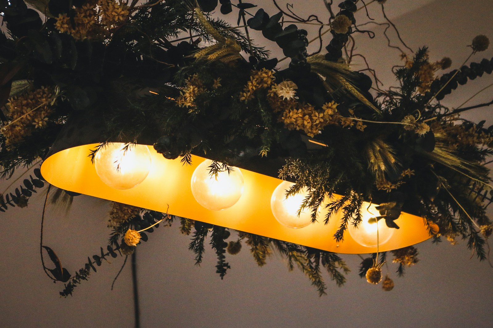 Green plant on a hanging light.