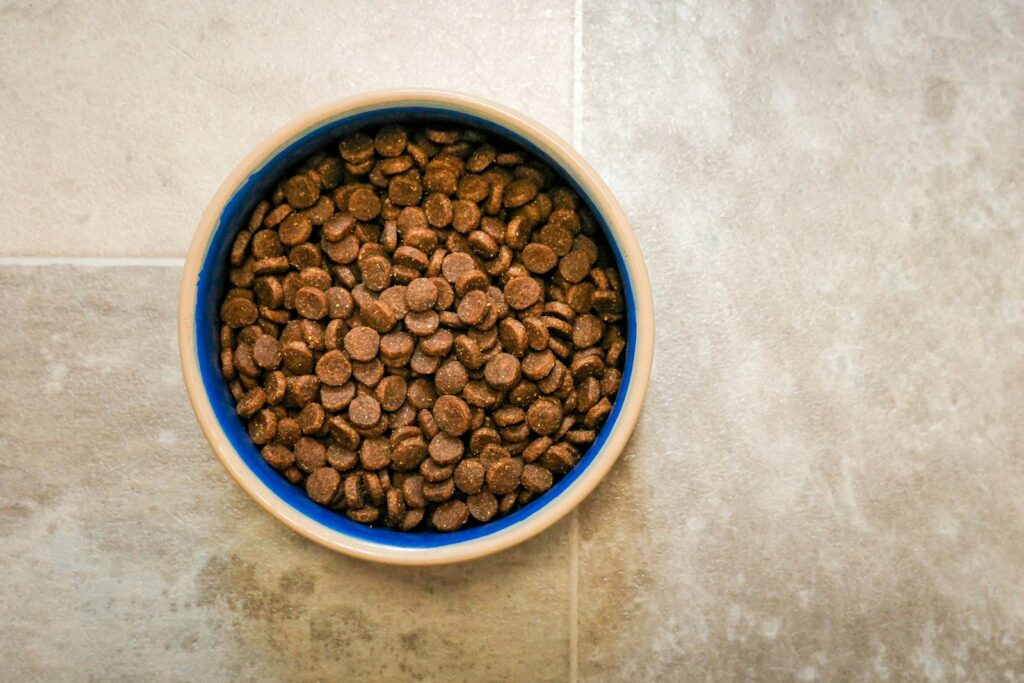 A bowl of dog food on a tile floor