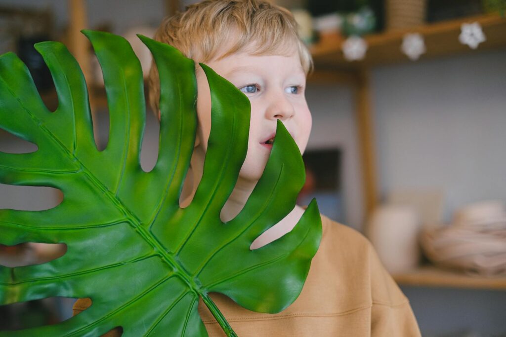 A young boy playfully holds a large green Monstera deliciosa leaf indoors.