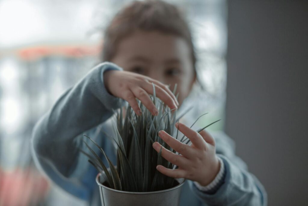 Adorable child exploring a potted plant indoors with focus on hands and greenery.