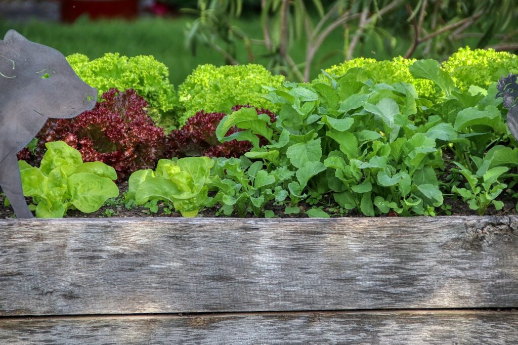 A wooden planter enhancing the serene garden setting.
