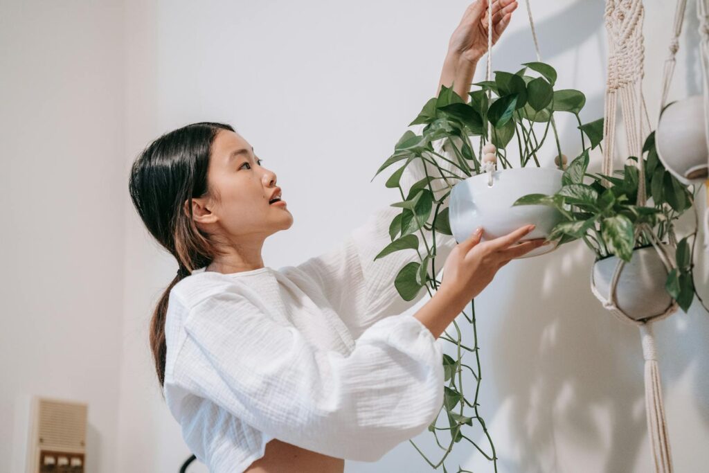 Asian woman arranging indoor hanging plants against a white wall, showcasing modern home decor.