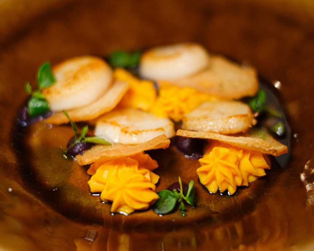 Close-up of an elegant scallop dish with garnish on a plate.