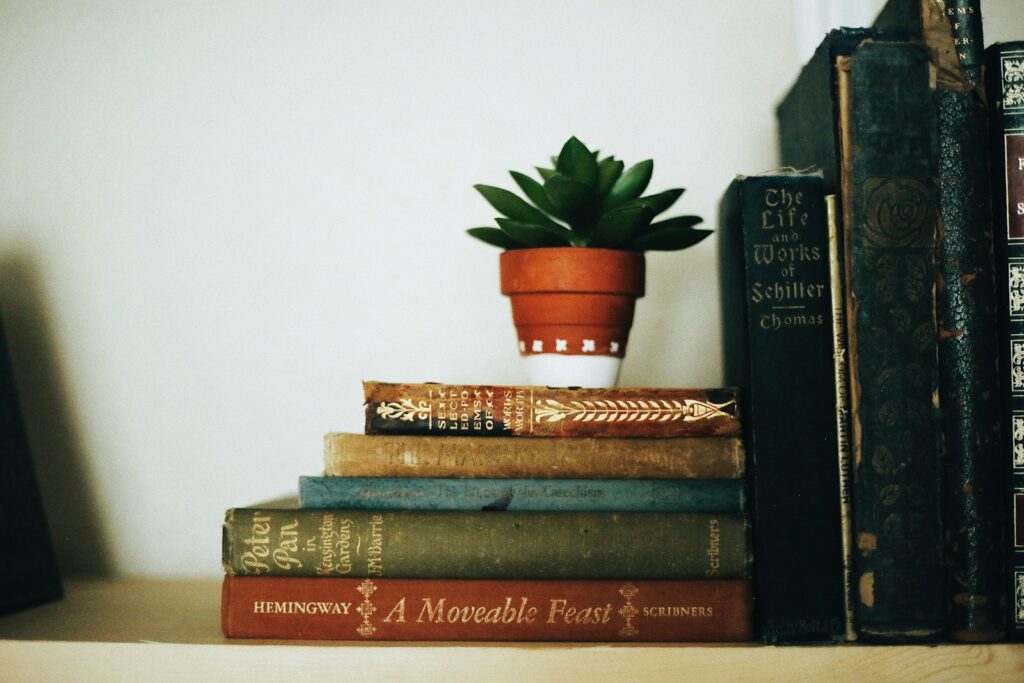 Book collection on brown wooden shelf.