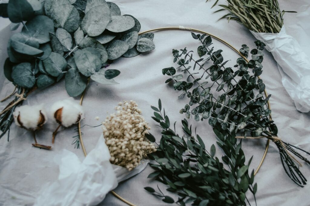 A group of plants on a table