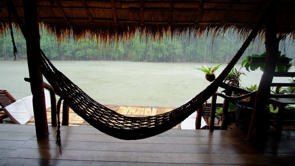 A hammock from a tree over a body of water.