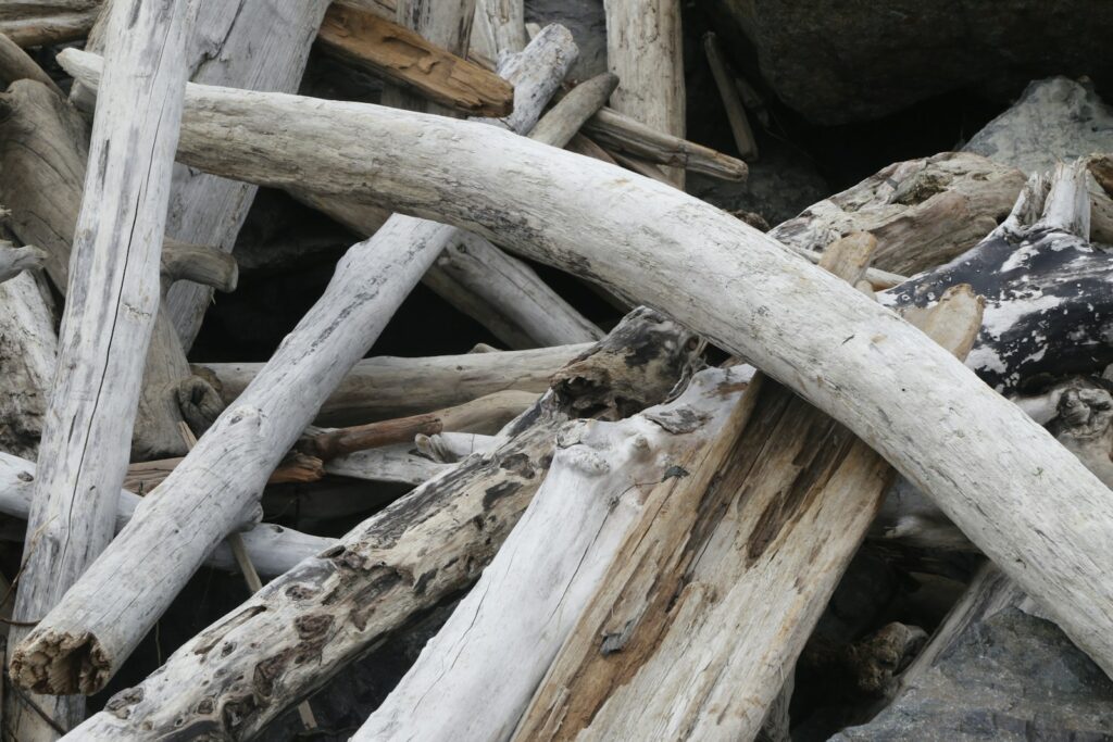 Brown wood log with white snow