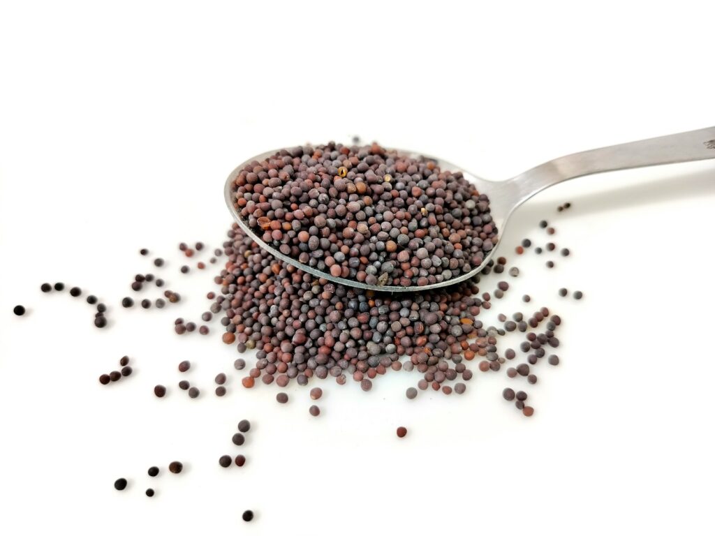 A spoon filled with black mustard seed on top of a white table.