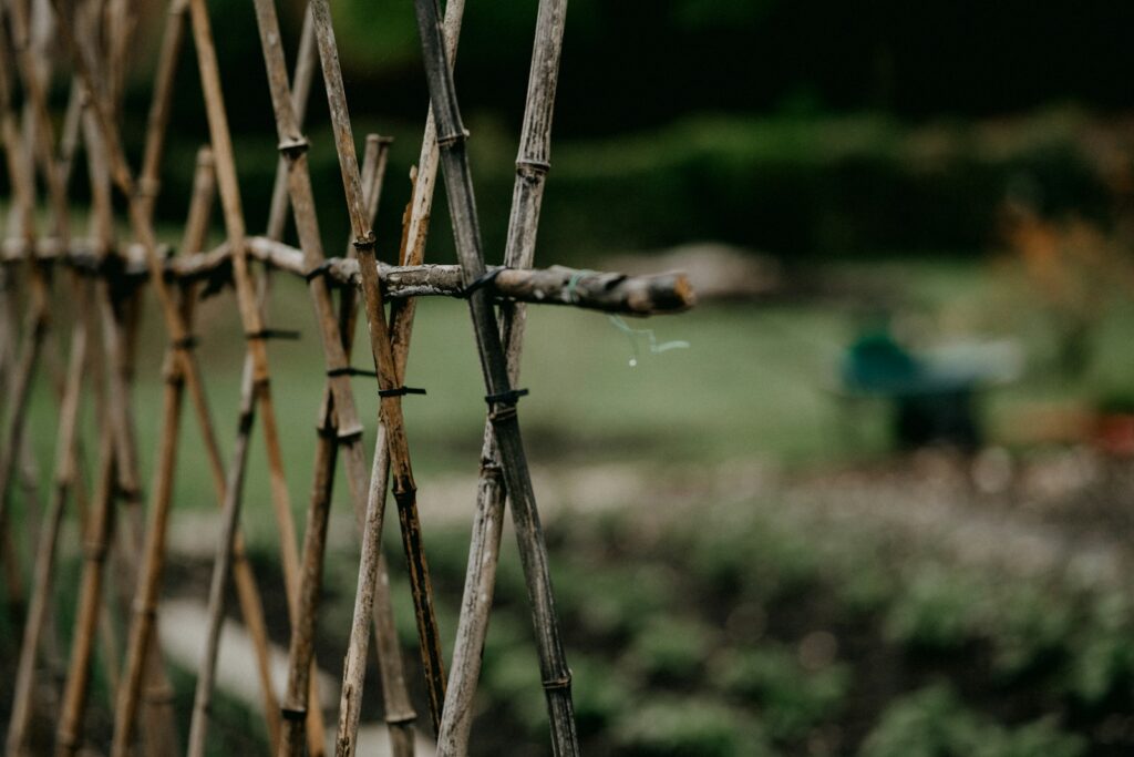 Brown wooden stick in tilt shift lens.