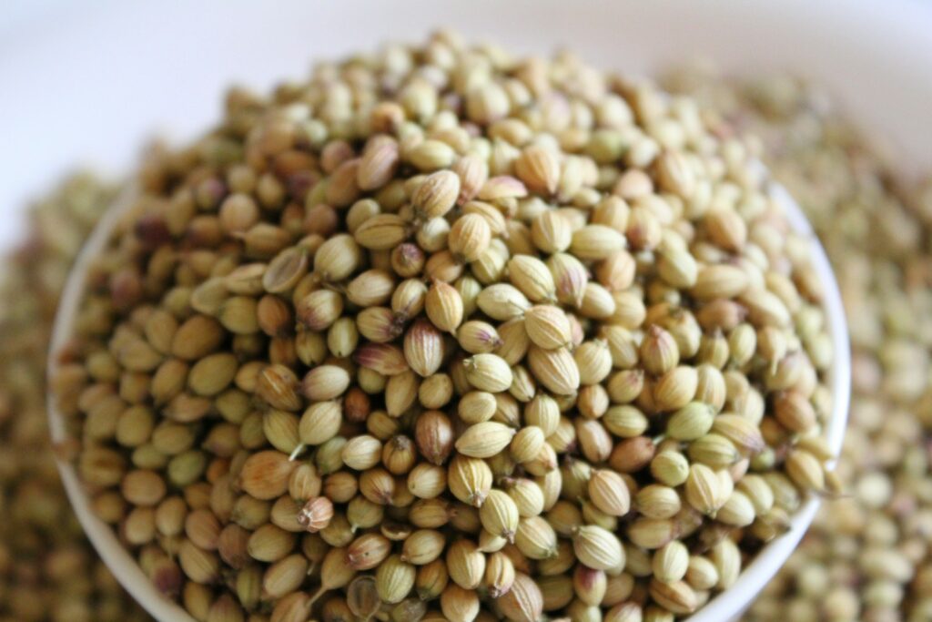 Brown and beige coriander seeds on white ceramic bowl.