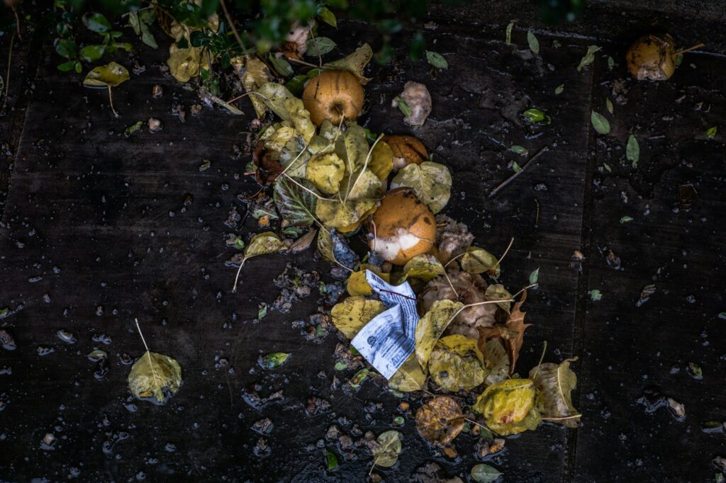 Photo of leaves and fruits on black surface