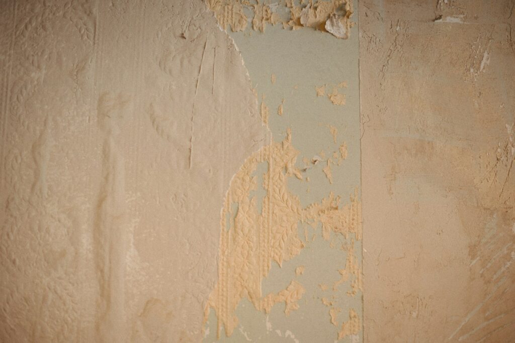 Priming the wall.