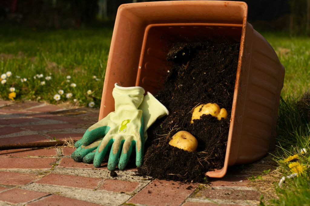 A potted plant with gardening gloves and gloves in it