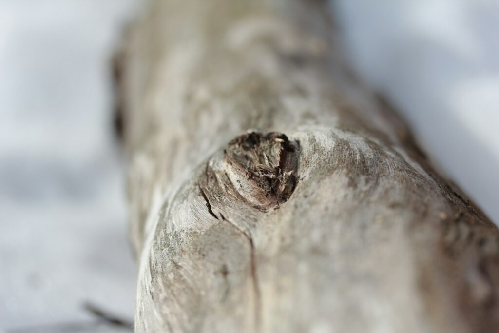 A close up of a piece of wood